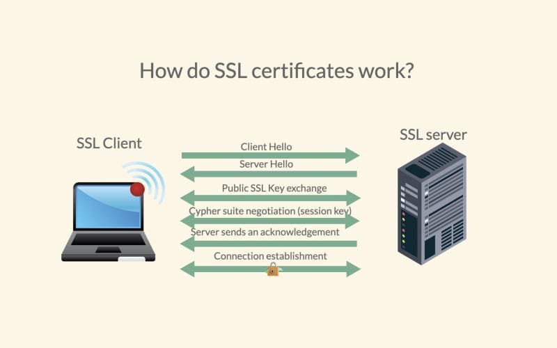 SSL چیست؟