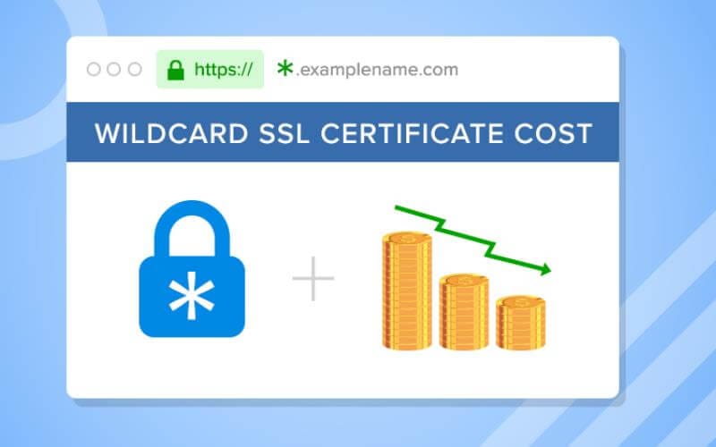 چرا باید از SSL وایلدکارد استفاده کرد؟