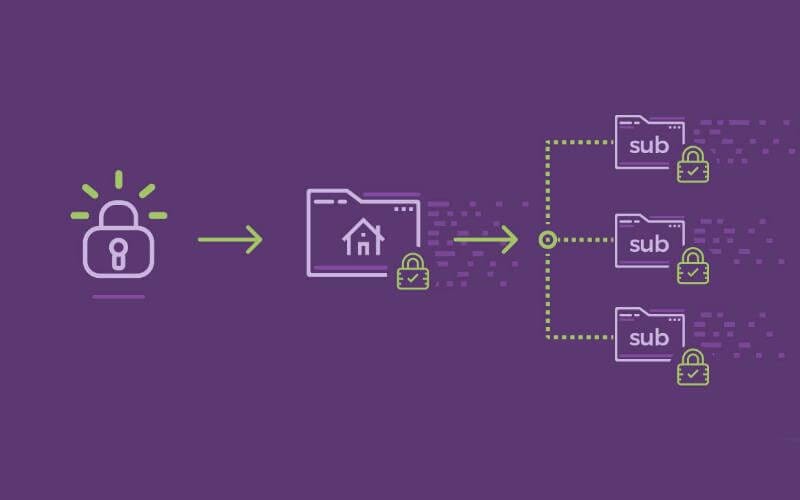 گواهی SSL وایلدکارد برای چه سایت‌هایی ضروری است؟